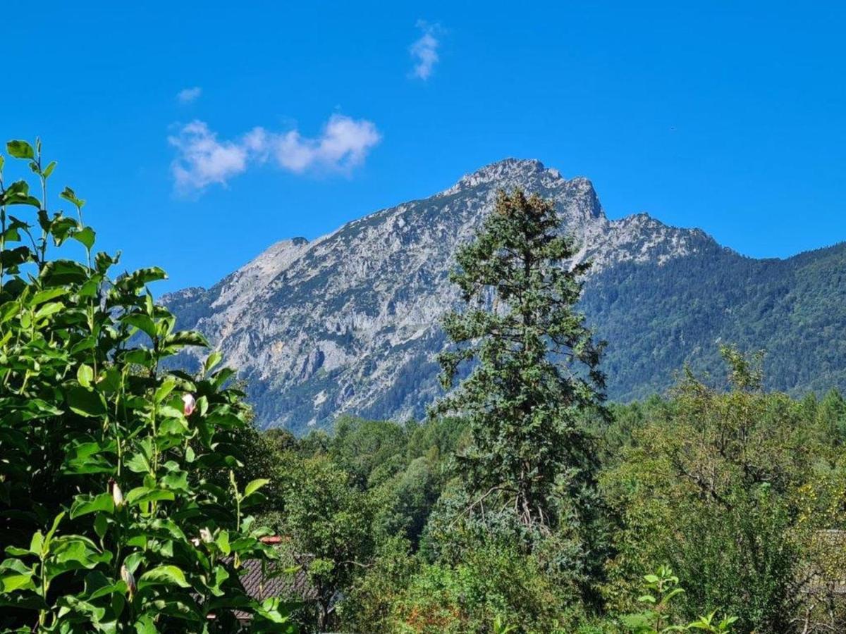 Ferienwohnungen Sommer Bayerisch Gmain Eksteriør bilde